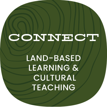 Connect - Land-based learnings & cultural teaching