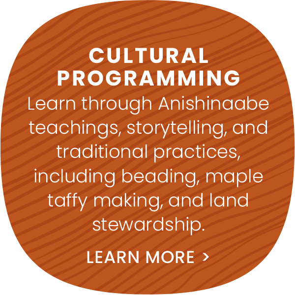 Learn more about Cultural Programming